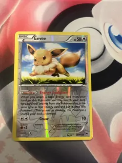 Eevee - 80/111 - Reverse Holo - XY: Furious Fists - Pokemon - NM - Image 1