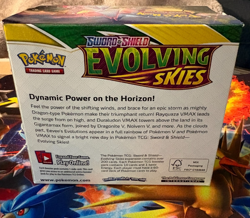 Pokemon Sword and Shield Evolving Skies Booster Box - NO CARDS, EMPTY BOX ONLY 820650818776 - Image 3