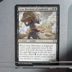 Gray Merchant Asphodel - DSC 0142 - Duskmourn Commander MTG NM/M - Image 1