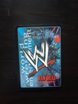 WWE Raw Deal Shawn Michaels Card Lot - Image 3