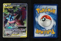SR - Zoroark & Greninja GX Chinese Set A Pokemon Sun Moon Double Burst (AS5a) - Image 3