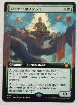 MTG Magic [x1] Ascendant Acolyte [x1] BORDERLESS EXTENDED Kamigawa M/NM - Image 1