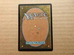 Gilt-Leaf Archdruid NM [Morningtide] Mtg Magic Free Tracking! - Image 2