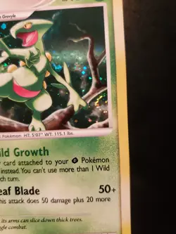 Sceptile 8/106 Holo Bleed Rare Swirl Pokemon TCG DP Great Encounters Card NM - Image 4