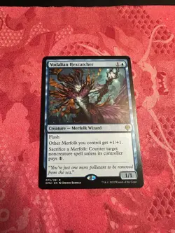 Vodalian Hexcatcher Dominaria United Regular - Image 1