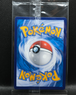 Pokemon S-Chinese CSGC-004 Frosmoth Holo Promo from 2024 Eevee Display Frame Box - Image 2