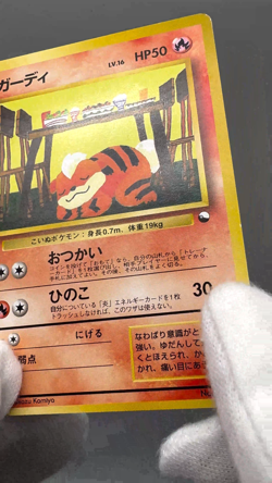 Growlithe No.058 Vending Series 3 Old back Vintage Glossy Japanese Pokemon Card - Image 2
