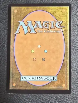 Meticulous Archive (Borderless) Murders at Karlov Manor Foil MTG NM Magic Card - Image 2