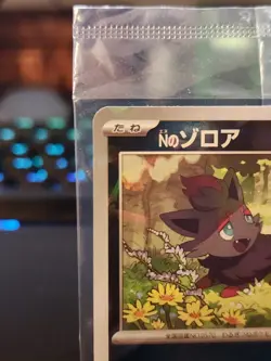 N's Zorua Sealed 200/SV-P Collection File Promo - Pokemon Card Japanese - Image 2