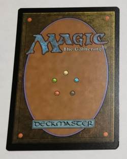 MTG Qasali Pridemage 386 2X2 Double Masters 2022 Borderless Foil Common NM x1 - Image 2