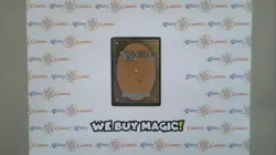 MTG | Reflecting Pool | Shadowmoor | Regular | Moderately Played | JPNanese - Image 2