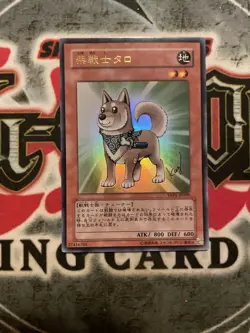 Yugioh Card YAP1-JP009 Shiba Warrior Taro | Ultra Japanese LP - Image 1