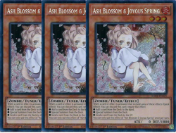 3x Yu-Gi-Oh! Ash Blossom & Joyous Spring RA04-EN025 Secret Rare Playset - Image 1