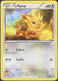 Lillipup 81/114 Black & White Regular - Pokemon Card - Image 1