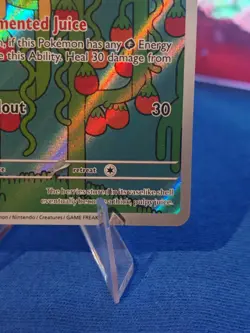 Shuckle 136/132 IR NM - Pokemon TCG Mega Evolution - Image 4