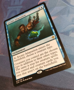 Arcane Adaptation - Ixalan - Rare - NM (see pics) MTG - Image 3