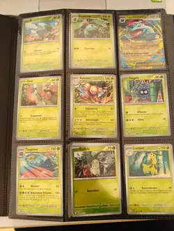 Pokemon Base-Set "Mega Entwicklung" - fast alle Karten - fast alle Holo - NM - Image 1