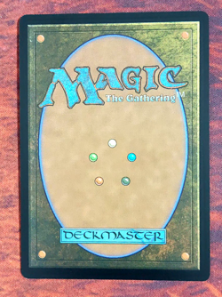 Amy Rose (Rainbow FOIL) 2083 | Near Mint FOIL | Secret Lair Drop SLD Magic MTG - Image 2