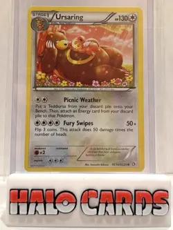 PACK FRESH 2013 POKEMON BLACK & WHITE LEGEND TREASURES RADIANT #RC16 URSARING HF - Image 1
