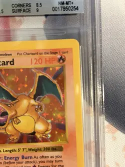 1999 POKEMON BASE SET SHADOWLESS #4 CHARIZARD HOLO R BGS 8.5 - Image 5
