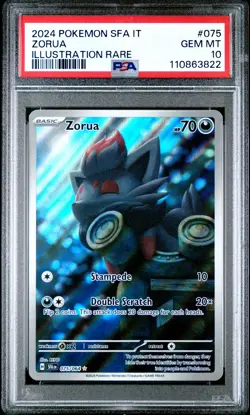 2024 POKEMON ITALIAN SFA IT-SHROUDED FABLE ILLUSTRATION RARE #075 ZORUA PSA 10 - Image 1