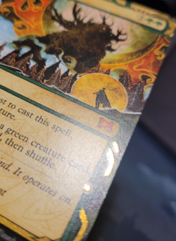 NM Natural Order - Etched - Strixhaven: Mystical Archives - Image 2