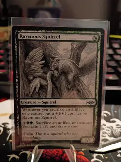 Ravenous Squirrel (Showcase) - 375 / English / Near Mint - Image 1