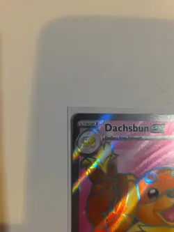 Dachsbun EX 160/142 Stellar Crown NM Pokemon Ultra Rare - Image 2