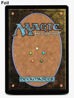 Kona, Rescue Beastie (0187) - FOIL - [Duskmourn: House of Horror] MTG 🌳 - Image 2