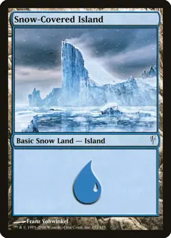 Snow-Covered Island [Coldsnap] Lightly Played - Image 1