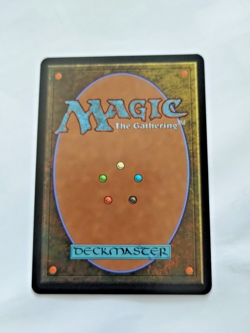MTG Dumb Ass Unhinged Regular Common - Uncirculated - Image 3