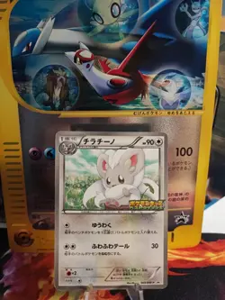 Pokemon Karte Card Cinccino Japanese Kids Special Toy Promotion Bw Promo Exc- - Image 1