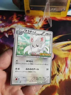 Pokemon Karte Card Cinccino Japanese Kids Special Toy Promotion Bw Promo Exc- - Image 2