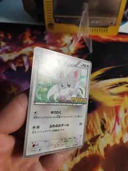 Pokemon Karte Card Cinccino Japanese Kids Special Toy Promotion Bw Promo Exc- - Image 3