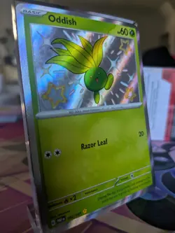 Oddish 092/091 Shiny Rare - Pokemon TCG - Paldean Fates Holo - NM - Free Ship - Image 3