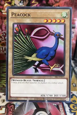 YuGiOh! - Peacock SRL-EN011 Common 25th Anniversary Edition Near Mint - Image 1