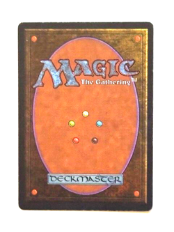 MTG Timetwister - Unlimited Edition - MP - Small Crease (pictured)⏳ - Image 2