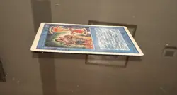 MTG Timetwister - Unlimited Edition - MP - Small Crease (pictured)⏳ - Image 4