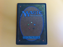 MTG Adventurers Guildhouse, Legends MP - Image 2