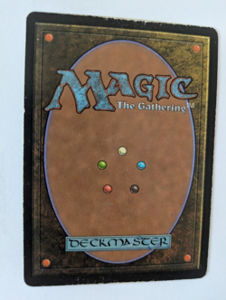 Piracy Portal MTG Played Free shipping with tracking - Image 2