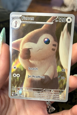 Furret 168/159 Sv09: Journey Together Holo Pokemon cards near mint - Image 4