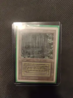 Bayou Revised Edition HP MTG - Image 1