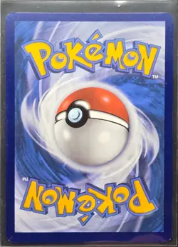 Charizard EX SVP 161 Super Premium Collection Pokemon 2024 - Image 2
