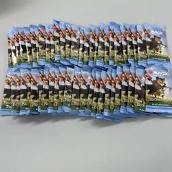Magic: The Gathering Bloomburrow Play Booster- 53 Packs- Sealed - Image 1
