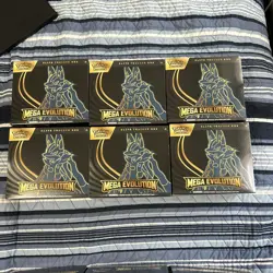 Pokemon Mega Evolutions ETB Lucario Sealed Box - Image 1