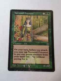 Norwood Priestess Portal Second Age (Damaged) - Image 1
