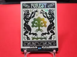 Forest (0892) (Rainbow Foil) Secret Lair Drop Foil NM - Image 1