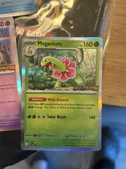 2025 Pokemon Mega Evolutions Staff Badged Promo Cards Complete Set - Image 2