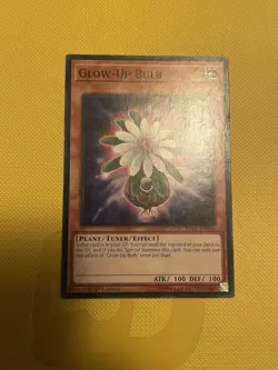 Yugioh! Glow-Up Bulb - SDCL-EN021 - 1st Edition - Non Holo - Image 1
