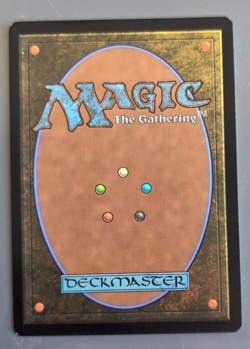 MTG Spider-Punk (0210) - Foil - Borderless, English Marvel's Spider-Man - Image 2